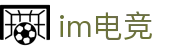 im电竞(中国)电子竞技平台 - 让每场比赛更有看点